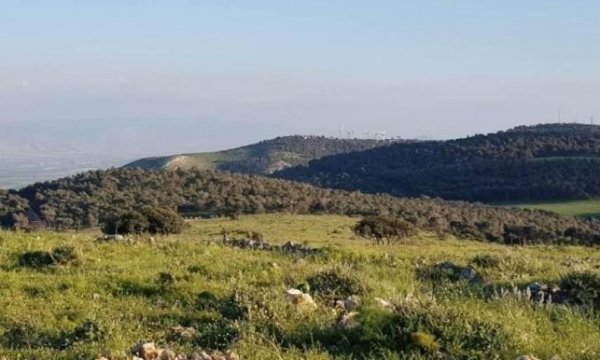 الطقس: أجواء ربيعية وارتفاع ملموس على درجات الحرارة