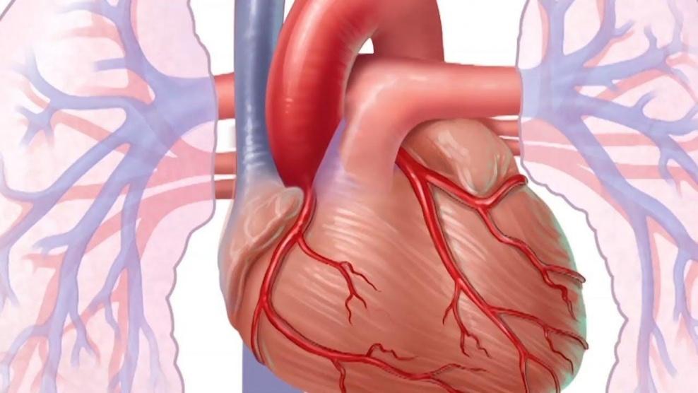 خفقان القلب.. بعض الأعراض تنذر بمشاكل صحية