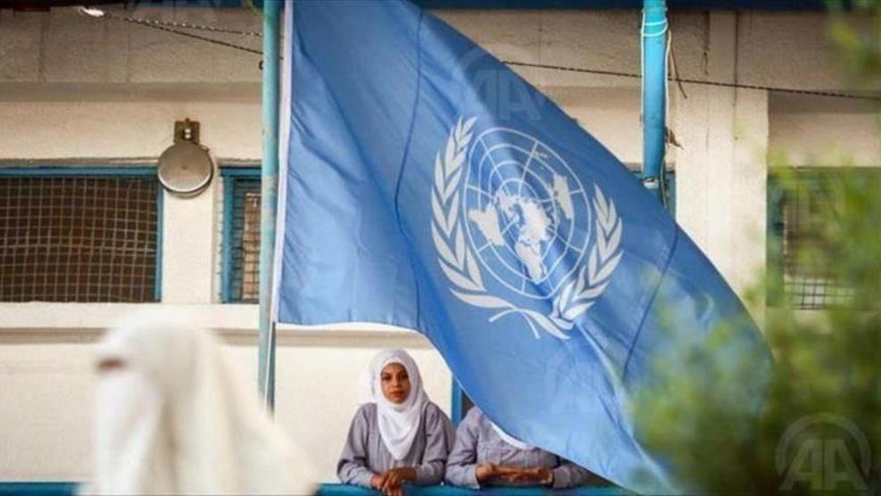مؤتمر عربي بالقاهرة يدعو لحشد دولي لدعم تجديد تفويض