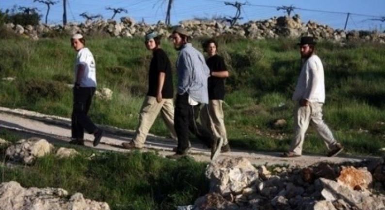 مستوطنون يحتشدون قرب بلدة تقوع في بيت لحم