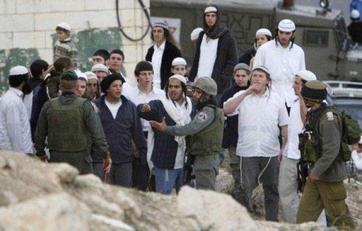 الصحة: مستوطنون يعتدون على 8 مواطنين بالخليل
