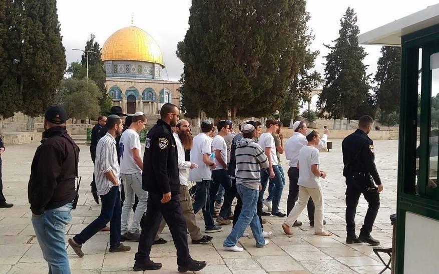 دعوات يهودية لاقتحامات واسعة للأقصى غدًا