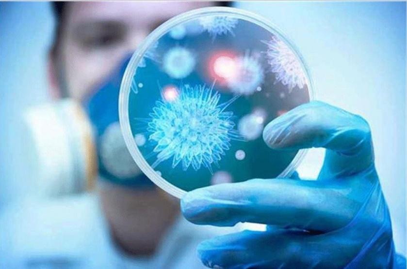 الصحة الأردنية تنفي إحالة 37 شخصا للحجر الصحي بسبب كورونا