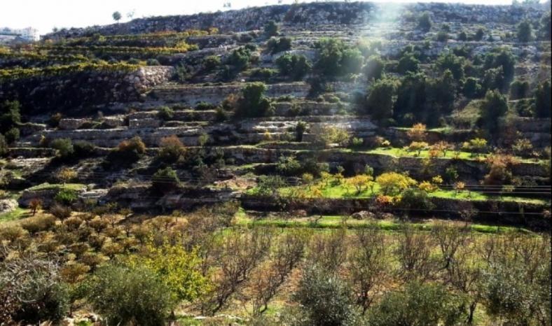 الشرطة والامن الوقائي يكشفان ملابسات الاعتداء على مواطن وزائرة بولندية في بيت لحم 