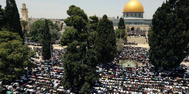 20 ألف يؤدون الجمعة بالأقصى