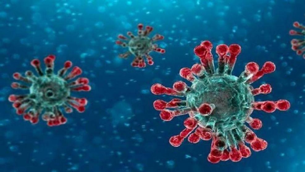 دبي توقف بصمة الحضور وتتيح لكبار السن والحوامل العمل من المنزل للوقاية من كورونا