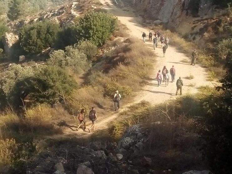 مستوطنون يشقون طريقا وينصبون بركسات جنوب بيت لحم