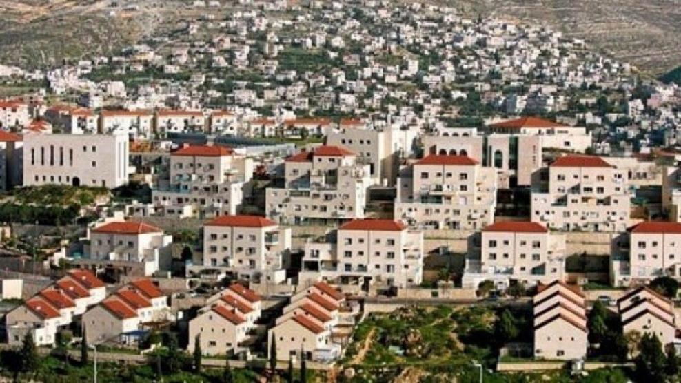 تقرير: المستوطنات تتحول بؤرًا لانتشار