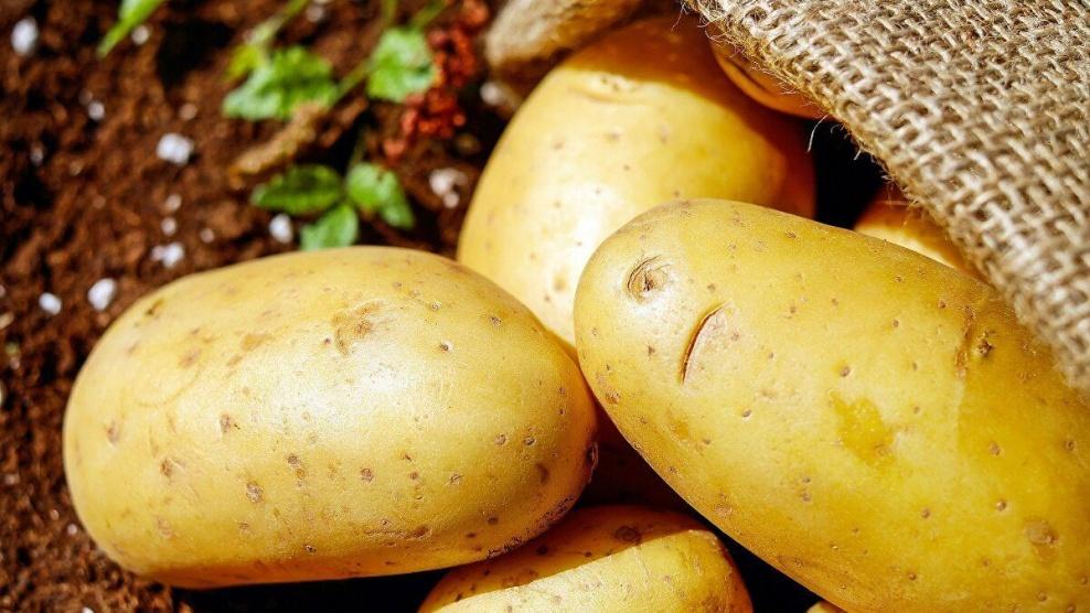 البطاطا قد تساعد بتخفيض الوزن
