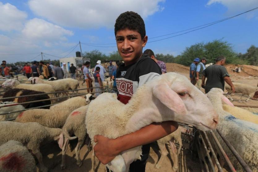 فلكيًا.. عيد الأضحى آخر تموز