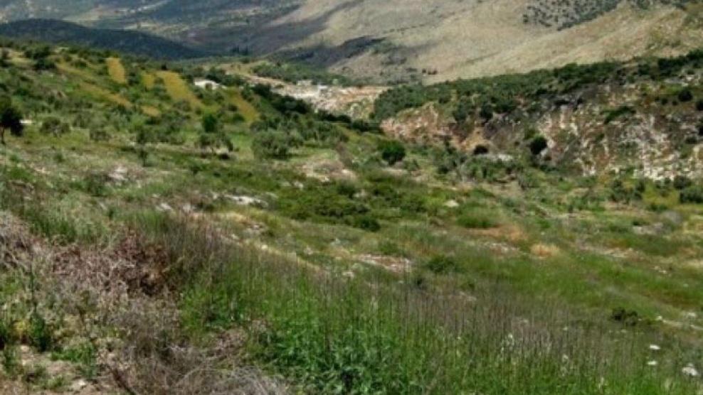 الاحتلال يخطر بالاستيلاء على قطعة أرض في ياسوف
