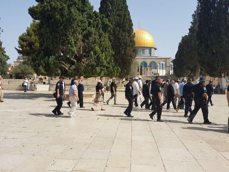 117 مستوطنًا يقتحمون الأقصى وسط قيود مشددة