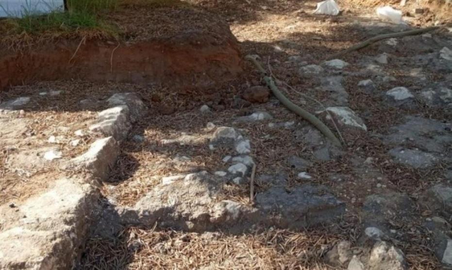 محكمة تتعهد بمنع نبش مقبرة العباسية المهجرة في الداخل