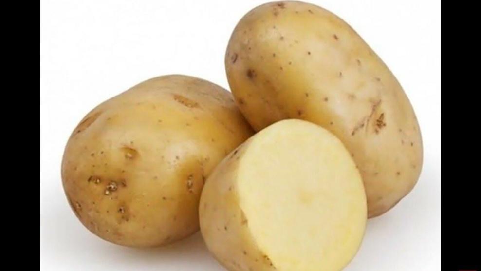 خطأ