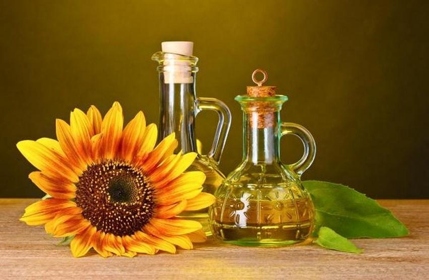 زيت الزيتون وزيت دوار الشمس.. أيهما أفضل للصحة؟