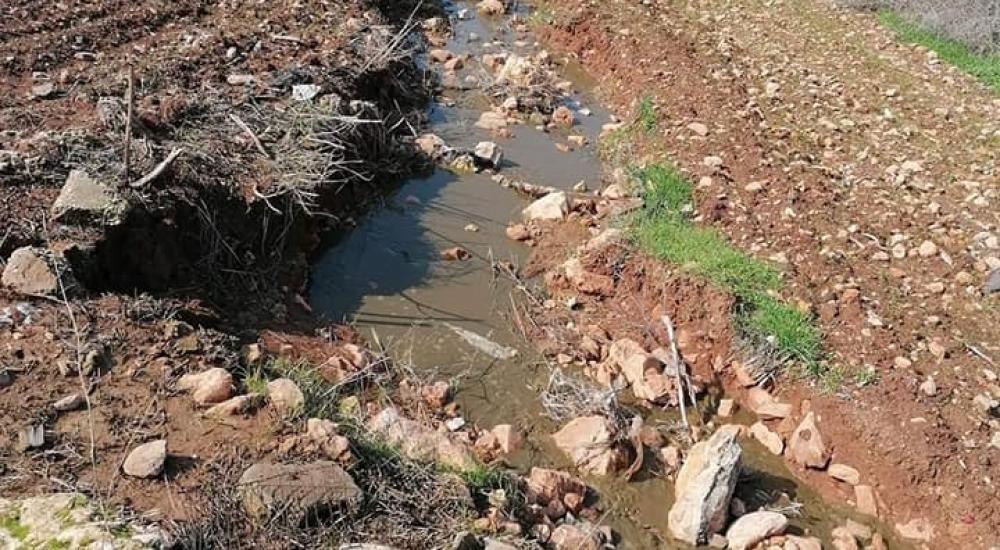 مستوطنون يغرقون أراضي سبسطية بالمياه العادمة