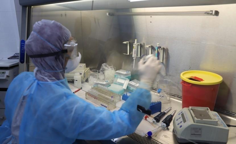 24 وفاة و1427 إصابة جديدة بفيروس 