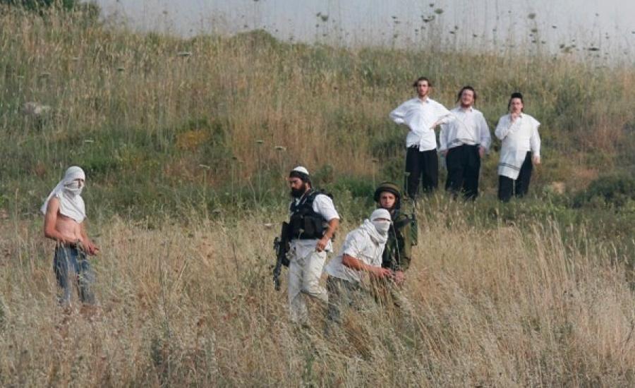 مستوطنون يعتدون على مزارعين ويمنعونهم من حراثة أراضيهم في مسافر يطا