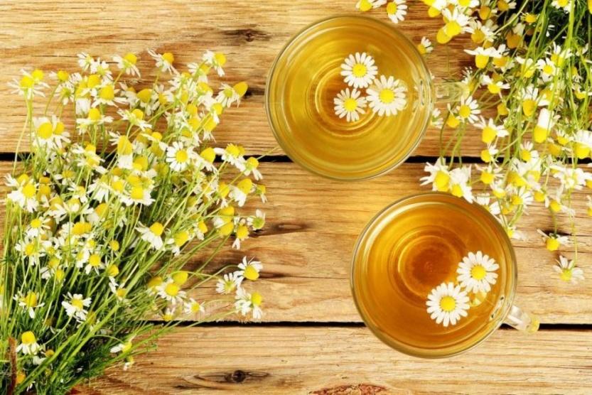 8 فوائد لعشبة البابونج