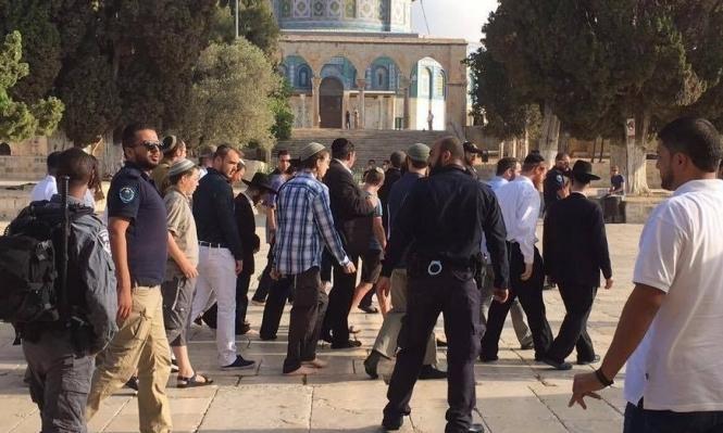 مستوطنون يقتحمون الأقصى بحراسة مشددة