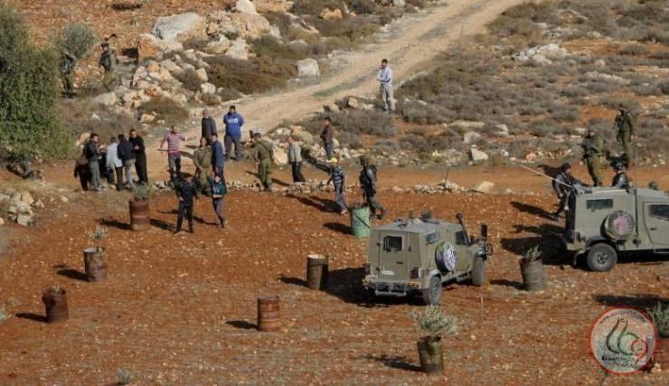 مستوطنون يزرعون أشجارا في أراض شمال غرب الخليل