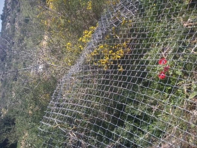 مستوطنون يسرقون ممتلكات ويدمرون سياجا غرب سلفيت