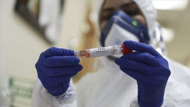 8 وفيات و 1432 إصابة جديدة بفيروس كورونا في فلسطين
