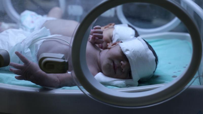 الصحة بغزة: بروتوكولات خدمة الولادة خفّضت وفيات الأمهات