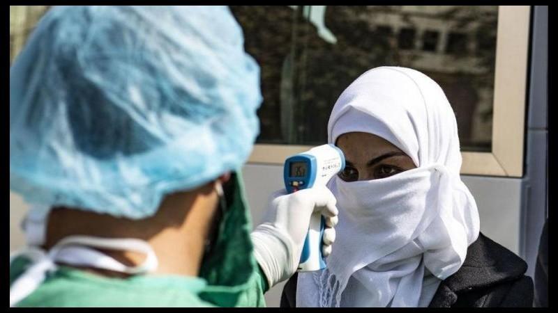 14 وفاة و1084 إصابة جديدة بفيروس كورونا في فلسطين