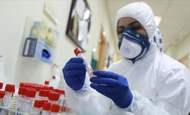 الصحة: دخلنا الموجة الخامسة من كورونا بعد ارتفاع الإصابات الجديدة بـ
