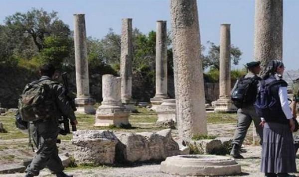 مستوطنون يقتحمون الموقع الأثري في سبسطية