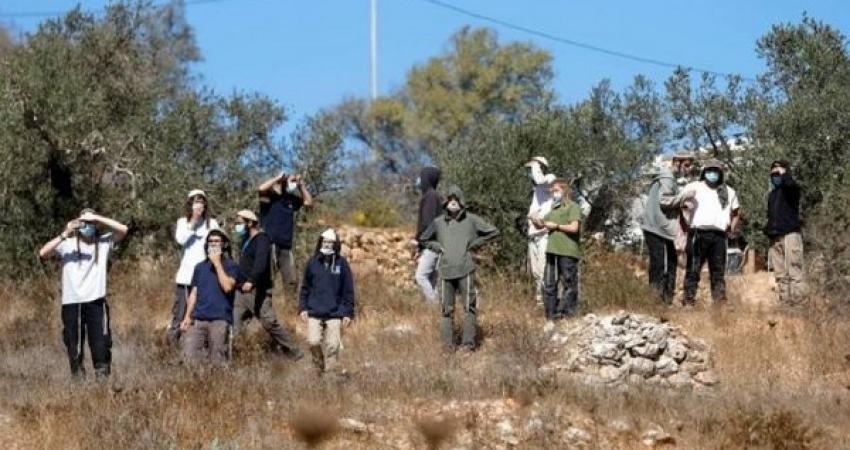  مستوطنون يعتدون على فتيات في قرية كيسان ببيت لحم