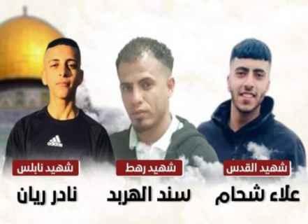 ثلاثة شهداء في الضفة ورهط