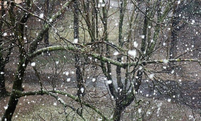 حالة الطقس: أجواء شديدة البرودة