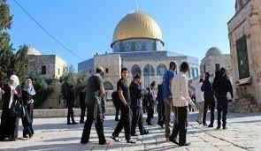 63 مستوطنا يقتحمون الأقصى