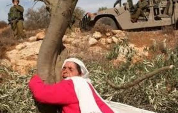 سفارة فلسطين لدى عُمان تحيي الذكرى الـ46 ليوم الأرض