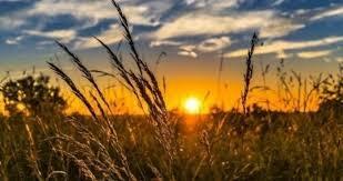  الطقس: أجواء غائمة جزئيا وحارة وانخفاض على درجات الحرارة