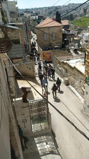 مستوطنون يقتحمون حي بطن الهوى في سلوان