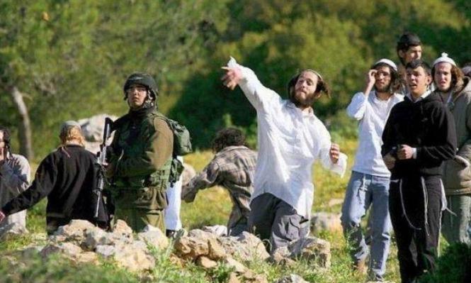 مستوطنون يقتحمون خربة حراشة في المزرعة الغربية شمال رام الله