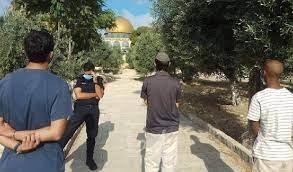 محدث 143 مستوطنا يقتحمون