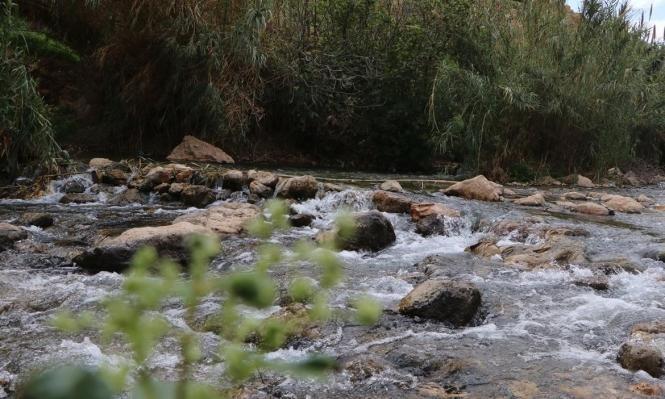 الاحتلال يصادر محمية