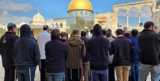 اعتقال سيدة واقتحامات متواصلة للأقصى