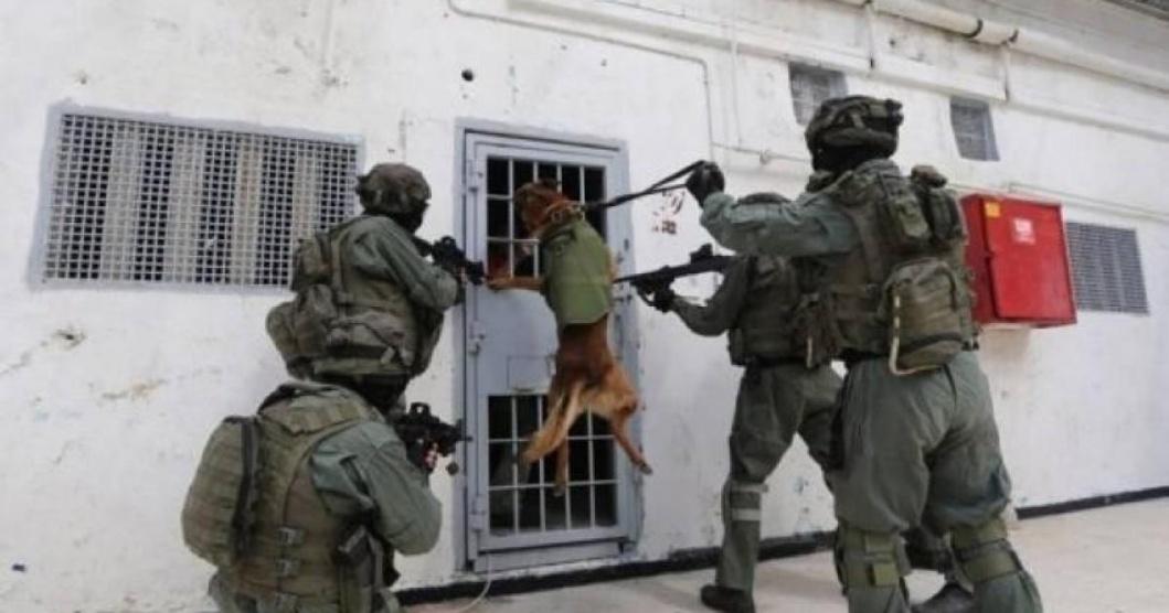 قوات القمع تقتحم قسم (7) في سجن رامون وتعبث بمقتنيات الأسرى