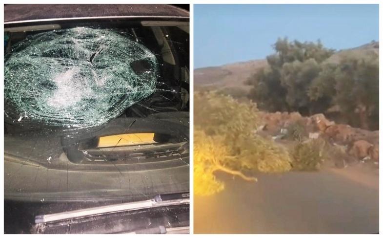 مستوطنون يعتدون على المواطنين ويقطعون 5 أشجار شرق رام الله