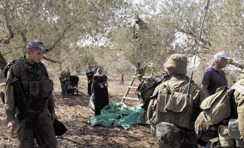 مستوطن يهاجم المزارعين في أراضي شوفة جنوب شرق طولكرم 