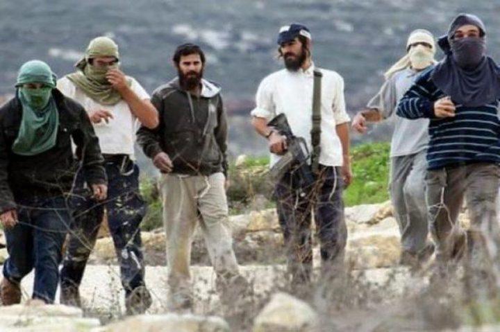 مستوطنون يقيمون بؤرة استيطانية جديدة جنوب نابلس
