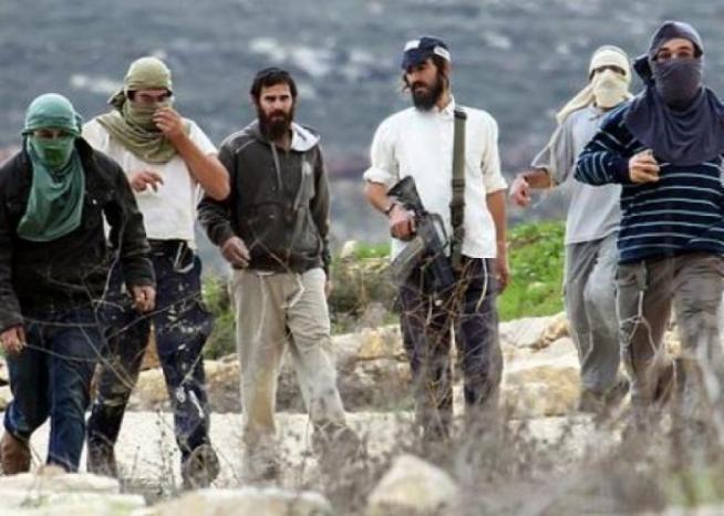 مستوطن يحتجز مواطنا تحت تهديد السلاح في بلدة الخضر جنوب بيت لحم