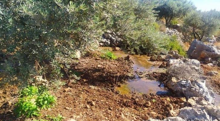 مستوطنون يواصلون سكب مجاريهم غرب سلفيت