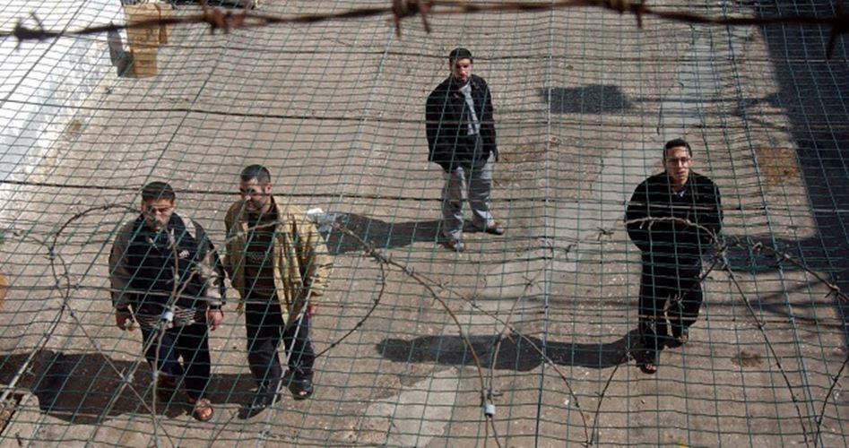 30 أسيرًا يواصلون إضرابهم لليوم الـ13