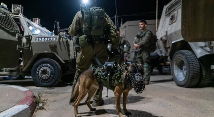 الاحتلال يعتقل 15 فلسطينيا من الضفة والقدس